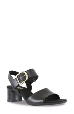 Munro Neeta Block Heel Sandal in Black Leather 