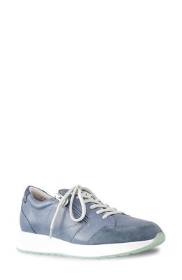 Munro Sutton Sneaker in Blue Combo