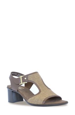 Munro Wallis Peep-Toe Sandal in Brown Combo