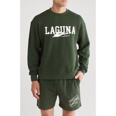 Museum of Peace & Quiet Laguna Crewneck Cotton Graphic Sweatshirt in Forest 