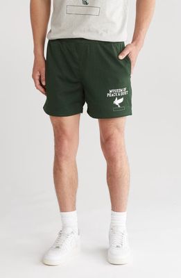 Museum of Peace & Quiet P.E. Mesh Shorts in Forest 