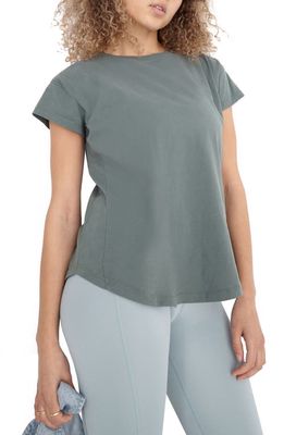 MWL Seamed T-Shirt in Simply Sage