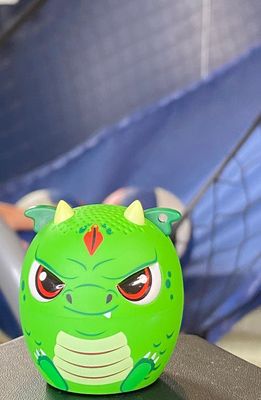 MY AUDIO PET Scales the Dragon Portable Bluetooth Speaker in Green