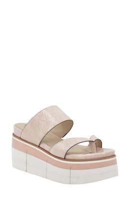 Naked Feet Flux Platform Sandal in Rosette