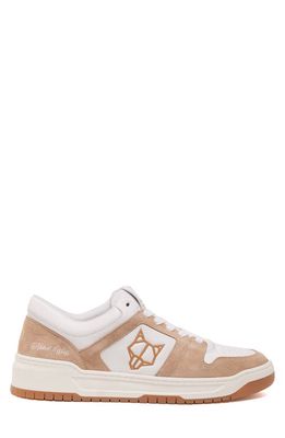 NAKED WOLFE Cm-01 Sneaker in Taupe 