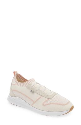 Naot Adonis Slip-On Sneaker in White/Pink Knit