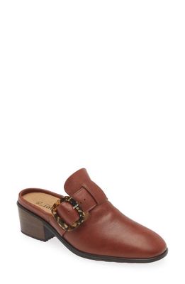 Naot Choice Mule in Chestnut Leather