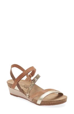 Naot Hero Strappy Wedge Sandal in Gold/Tan/Floral/Latte