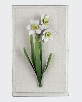 Narcissus December Birth Flower Wall Art