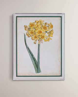 "Narcissus I" Giclee Print
