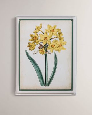 "Narcissus II" Giclee Print
