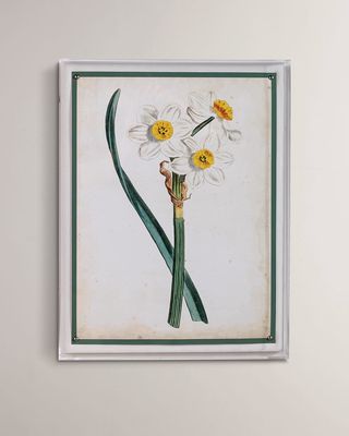 "Narcissus III" Giclee Print