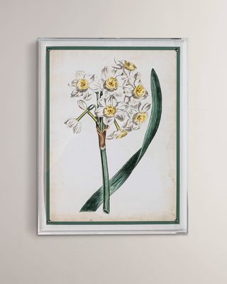 "Narcissus IV" Giclee Print