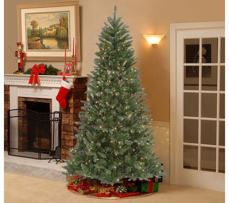 National Tree 7.5 ft Peyton Spruce Tree with Cl ear Lights