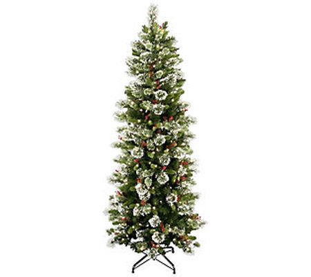 National Tree Company 7.5' Wintry Pine Slim wit h Clear Lights