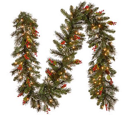 National Tree Company 9' Wintry Pine Prelit Gar land