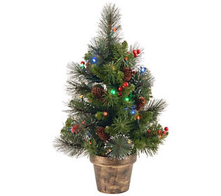 National Tree Company Batt. Op. 2' Spruce w/ Mu lti Lights