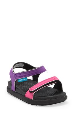 Native Shoes Charlie Colorblock Sandal in Starfish Hollywood/Jiffyblack