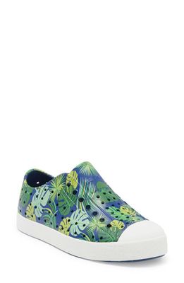 Native Shoes Jefferson Slip-On Sneaker in Frontier Blue/Picnic Foliage