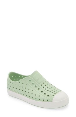 Native Shoes Jefferson Sugarlite Water Resistant Sneaker in Fig Green/Shell White 