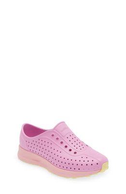Native Shoes Kids' Robbie Sugarlite Slip-On Shoe in Winterberry Pink/Pink