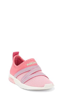 Native Shoes Phoenix Slip-On Sneaker in Pink/Pink/Shell White