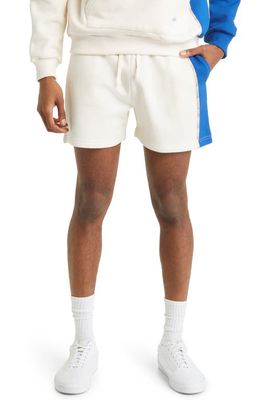 Native Youth Colorblock Cotton Blend Shorts in Stone
