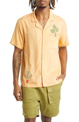 Native Youth Embroidered Short Sleeve Button-Up Shirt in Orange
