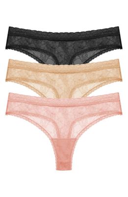 Natori Bliss Alure 3-Pack Lace Thongs in Black/Cafe/Rose