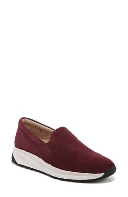 Naturalizer Selah Slip-On Sneaker in Cabernet Sauvignon Red Suede