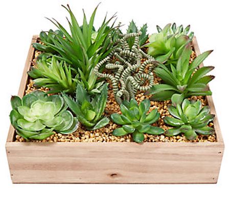 Nature Spring Artificial Succulent Arrangement