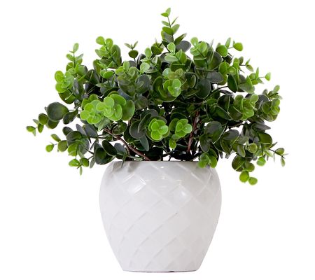 Nearly Natural 11" Artificial Boxwood Plant wit h Planter