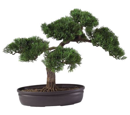 Nearly Natural 16" Cedar Bonsai Tree