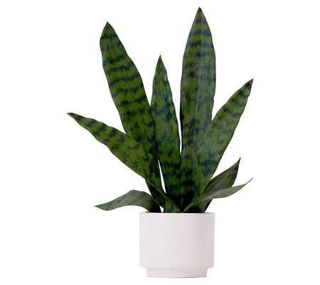 Nearly Natural 16"Artificial Sansevieria SnakeP lant w Planter