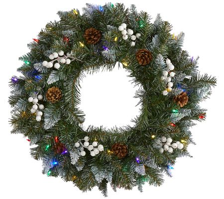 Nearly Natural 24 in Snow Tipped Wreath w/50 Mu ticolored LED