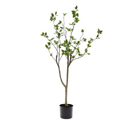 Nearly Natural 4-ft Minimalist Citrus Artificial Tree