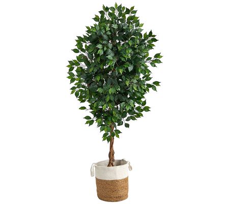 Nearly Natural 6' Ficus w/Natural Trunk in Plan ter