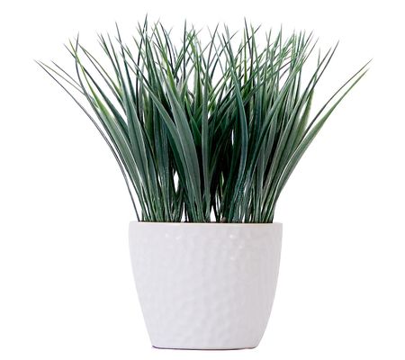 Nearly Natural 9" Artificial Grass Plant with D ec Planter