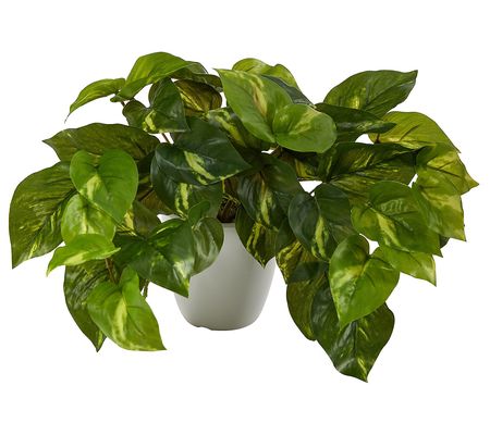 Nearly Natural 9" Pothos Artificial Plant in Wh ite Planter