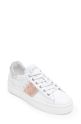 NeroGiardini Glitter Band Studded Sneaker in White/Rose