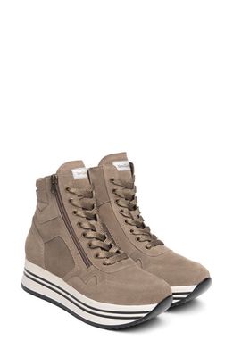 NeroGiardini High Top Platform Sneaker in Grey