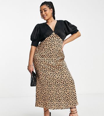 Never Fully Dressed Plus contrast puff sleeve maxi dress in black leopard print-Multi
