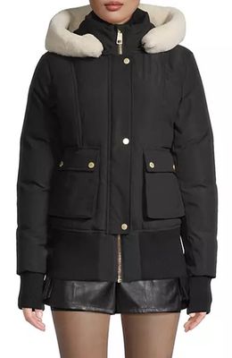 Nicole Benisti Fordham Shearling Bomber Jacket in Black & White 