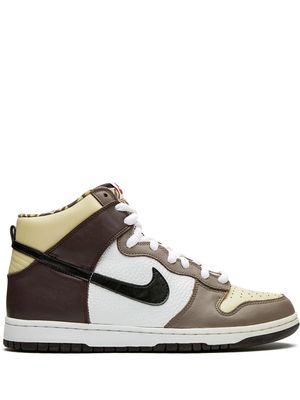 Nike Dunk High Pro "Ferris Bueller" sneakers - Brown