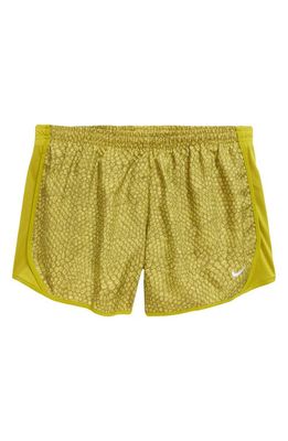 Nike Kids' Dri-FIT Tempo Running Shorts in Moss/Reflective Silv