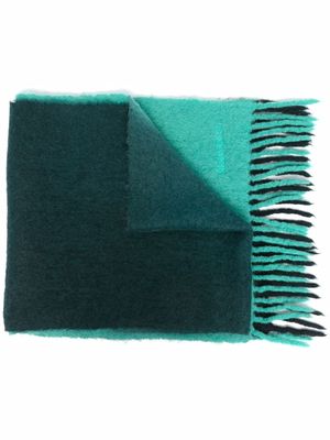Nina Ricci gradient-effect felted scarf - Green