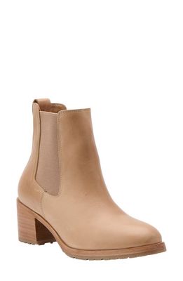 Nisolo Ana Go-To Chelsea Boot in Almond