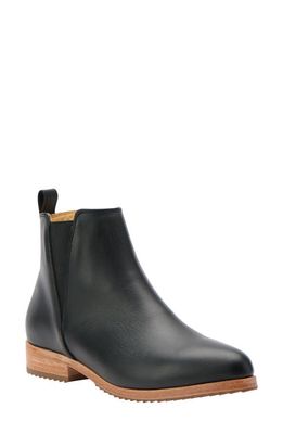 Nisolo Eva Everyday Chelsea Boot in Black 