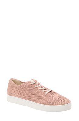 Nisolo Go-To Knit Sneaker in Light Pink