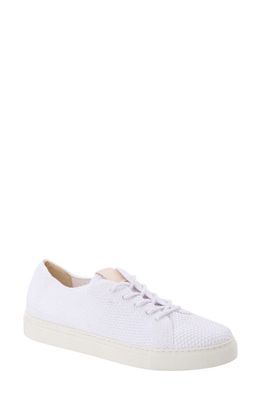 Nisolo Go-To Knit Sneaker in White
